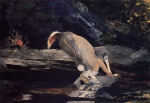 http://www.paintingall.com/images/P/Winslow-Homer-Fallen-Deer-Oil-Painting.jpg