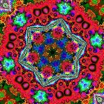 Primary – December 11