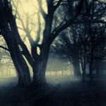 SciFi/Fantasy – January 19