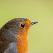 Big Questions – January 9