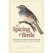 Journaling + Fiction – December 9