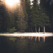 Big Questions – February 19