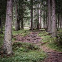 Big Questions – February 26