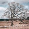 Big Questions – March 12