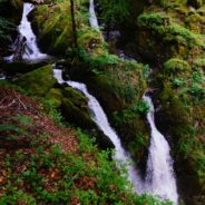 Big Questions – March 14