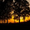 Big Questions – March 19