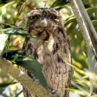 Big Questions – March 20