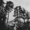 Big Questions – March 26