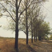 Big Questions – April 2