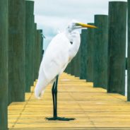 Big Questions – April 10