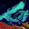 Big Questions – April 15