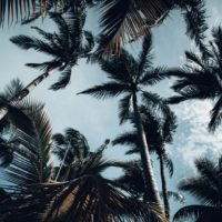 Big Questions – April 16