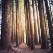 Big Questions – April 23