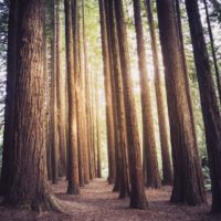 Big Questions – April 23