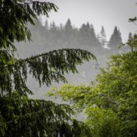 Big Questions – April 30