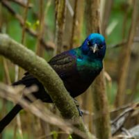 Big Questions – May 1