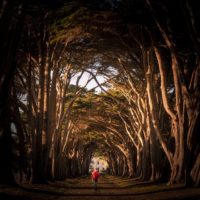 Big Questions – May 14