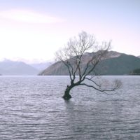 Big Questions – May 28