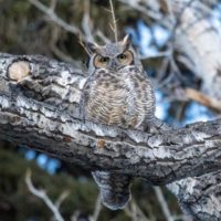 Big Questions – May 29