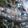 Big Questions – May 29