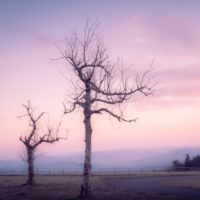 Big Questions – June 11
