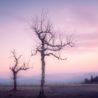 Big Questions – June 11