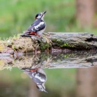 Big Questions – June 12