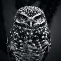 Big Questions – July 17