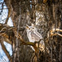 Big Questions – July 24