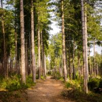 Big Questions – August 6
