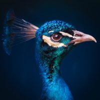 Big Questions – August 21