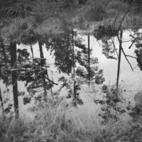 Big Questions – August 27