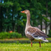 Big Questions – August 28