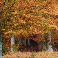 Big Questions – September 17