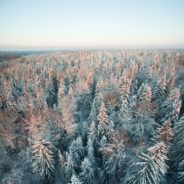 Big Questions – November 26